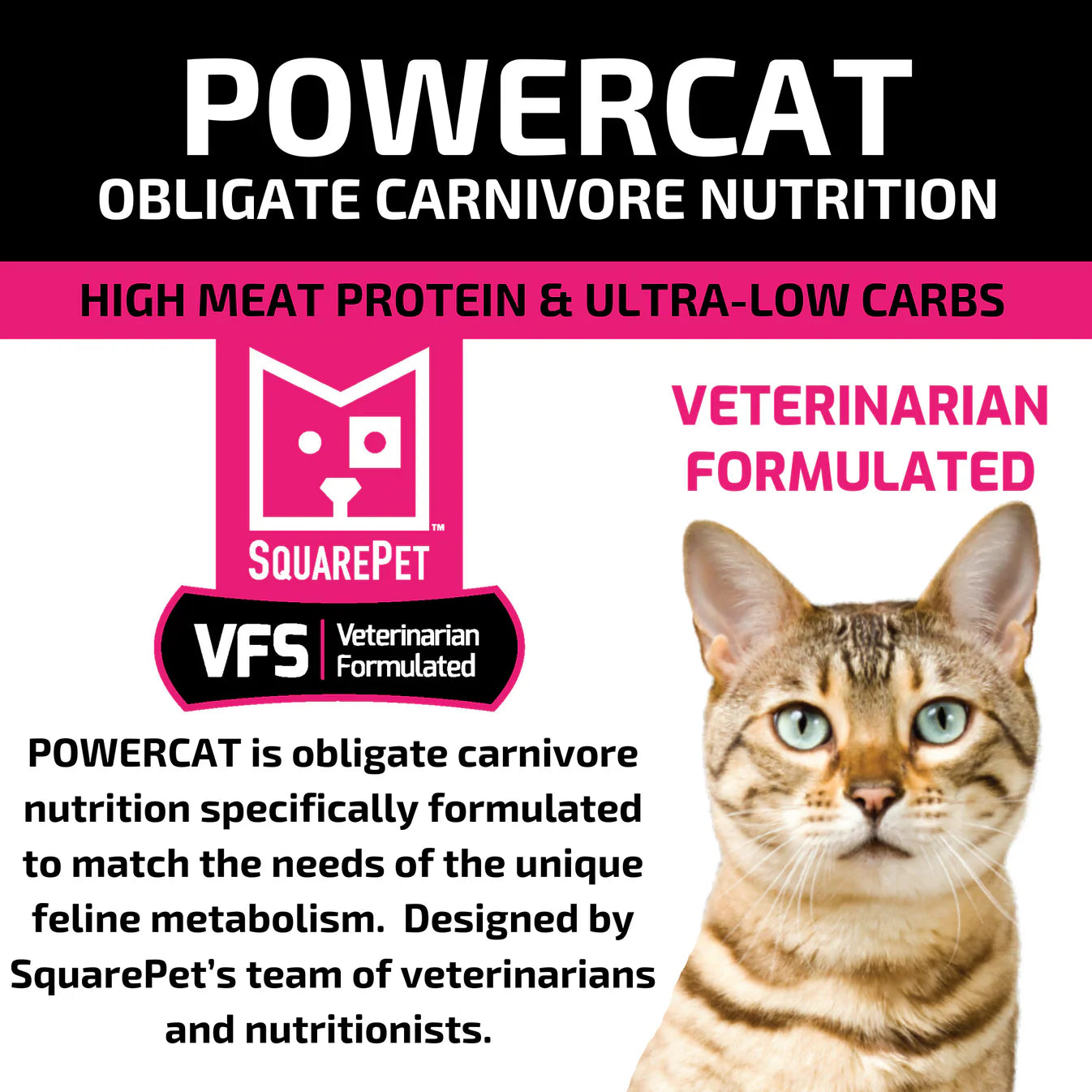 SquarePet - Feline Herring & Salmon Dry Cat Food