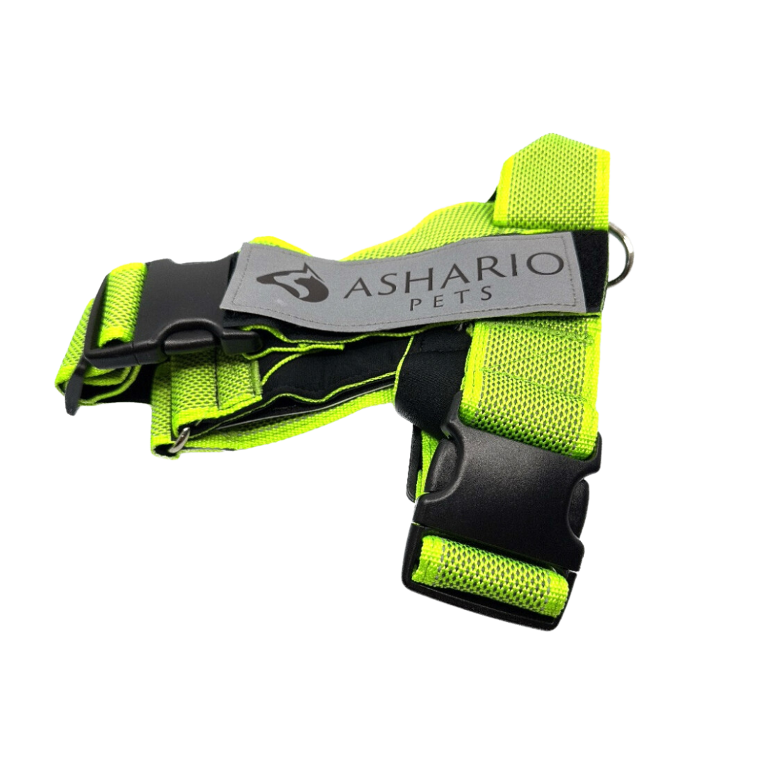 Ashario Pets neon green harness for pet store use, designed to provide high visibility and comfort for dogs during outdoor activities.