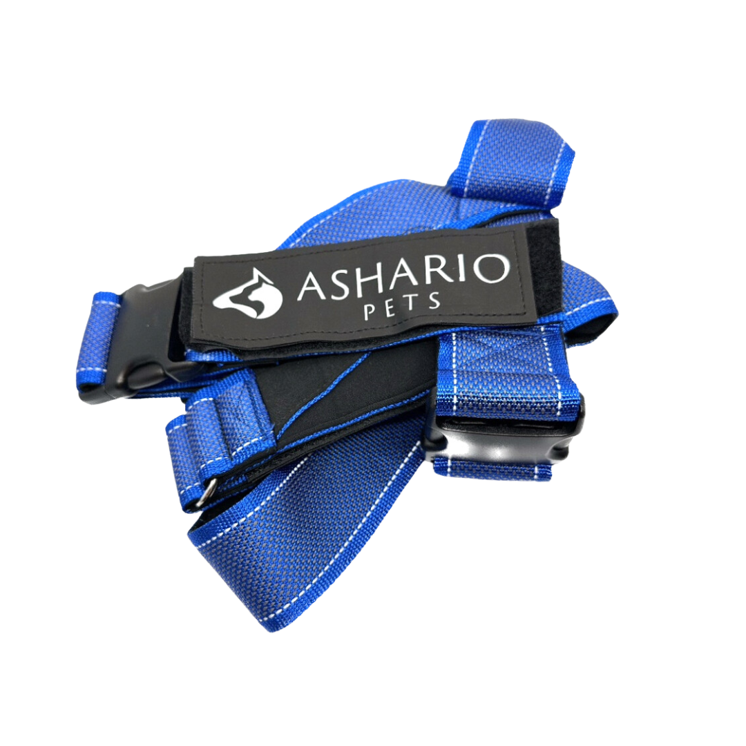 Ashario Pets blue harness for pet store use, ensuring a comfortable and secure fit for dogs during walks and training.