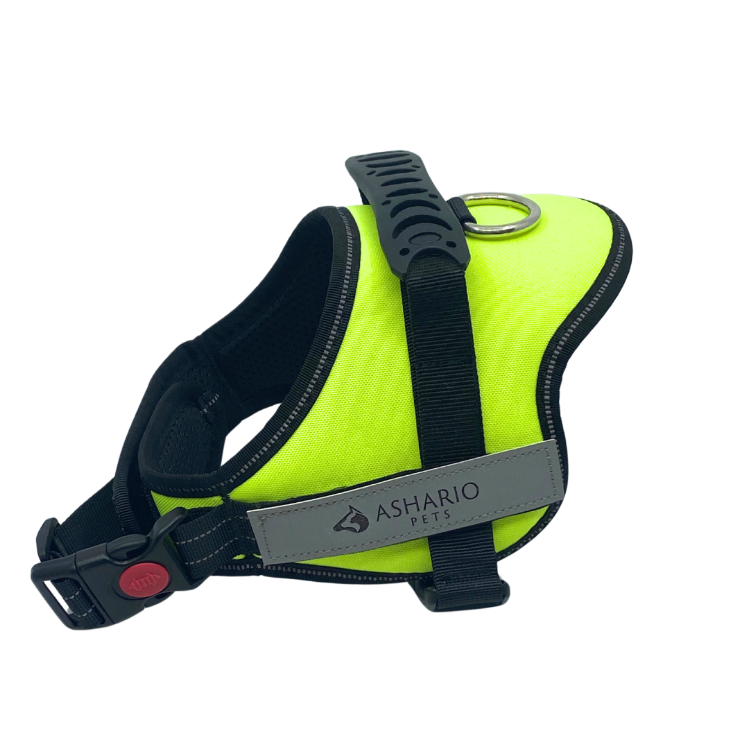 neon dog harness with reflective straps, designed for secure and comfortable walks, adjustable fit for dogs of all sizes.