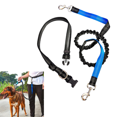 Ashario Pets blue and black bungee leash for pet store use, designed to ensure a secure and comfortable experience for both pets and owners.