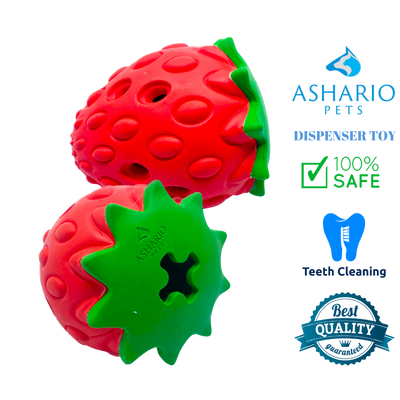 Ashario Pets - Dispenser Toy - Strawberry