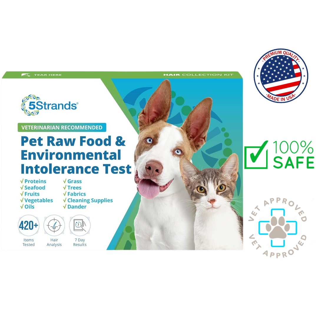 Box of 5Strands Pet Raw Food & Environmental Intolerance Test with a happy dog and cat, highlighting the test's benefits for identifying food and environmental intolerances. This veterinarian-recommended kit is essential for maintaining your pets' health and well-being.