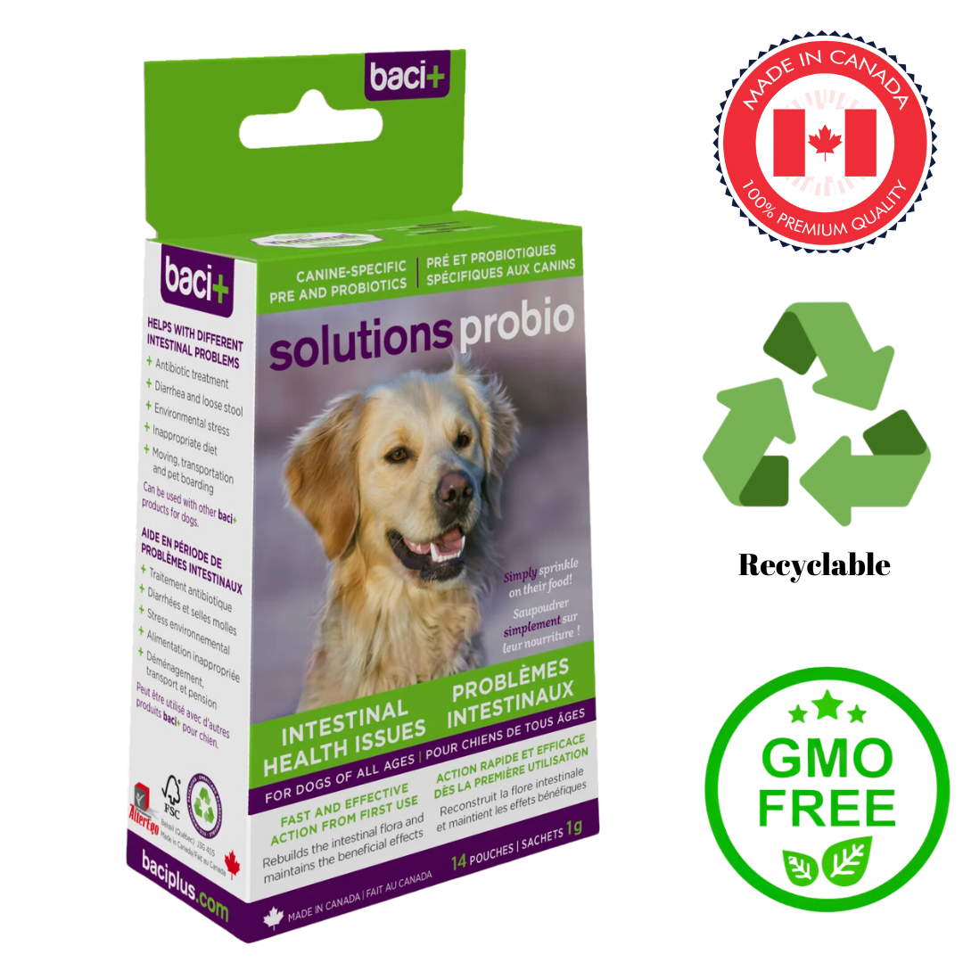 Support your dog's digestive health with Baci+ Solution Probio 14 Grams, blend of beneficial bacteria aids during stress, promotes overall well-being