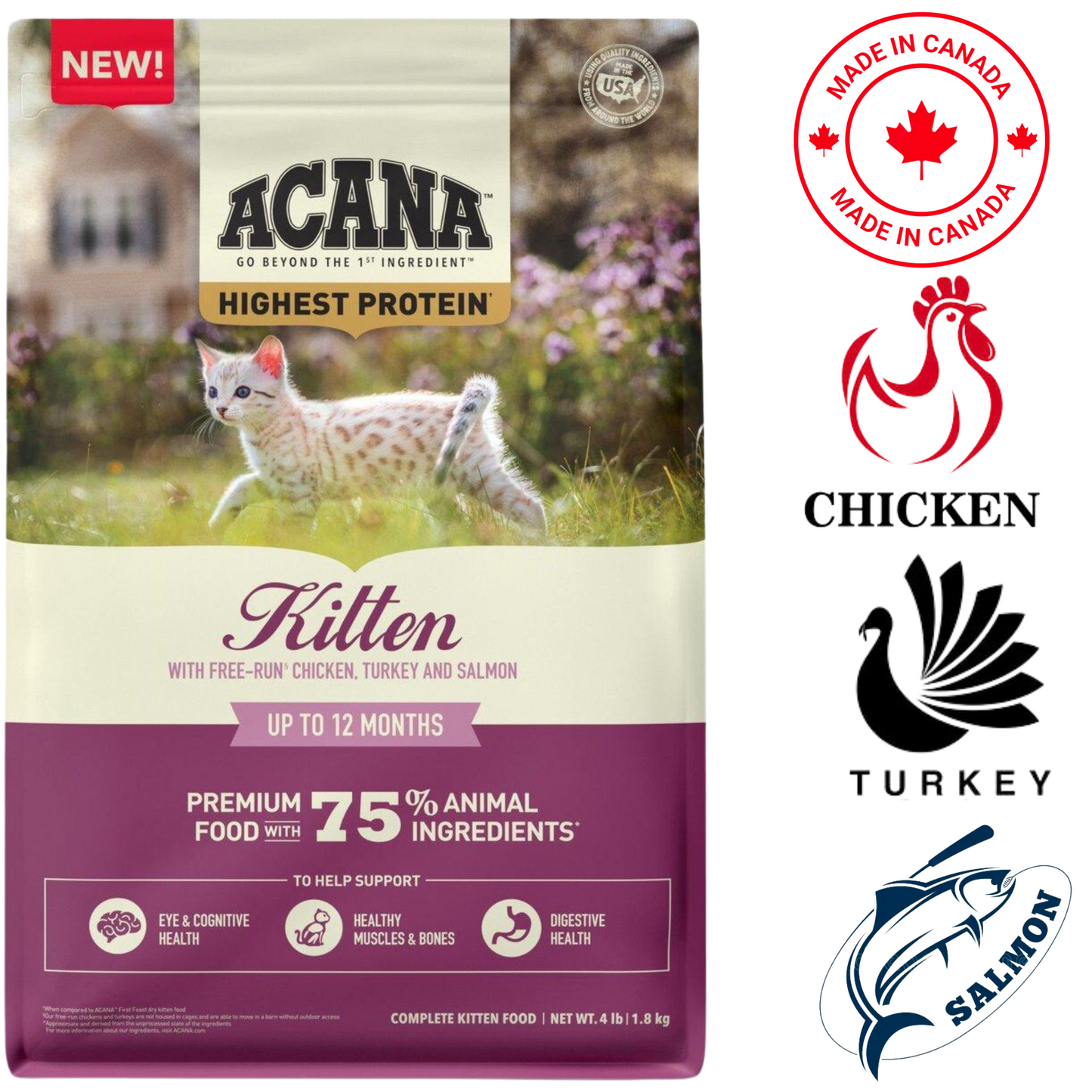 Acana - Highest Protein Kitten Dry Cat Food - 4 lb