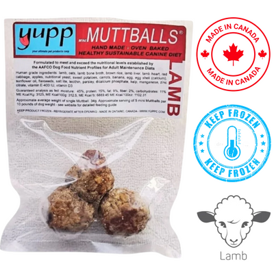 Yupp - Mini MuttBalls Lamb Raw Dog Food