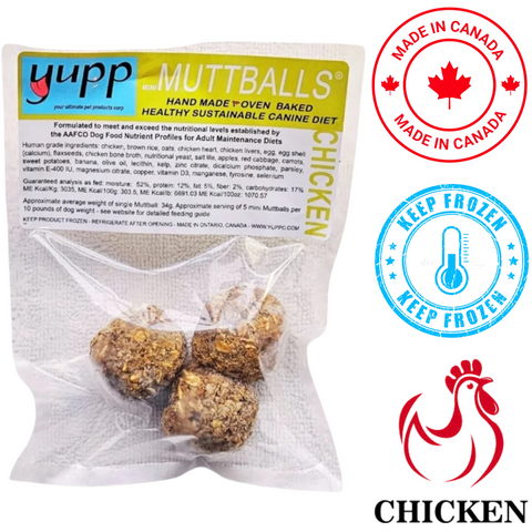 Yupp - Mini MuttBalls Chicken Raw Dog Food — main