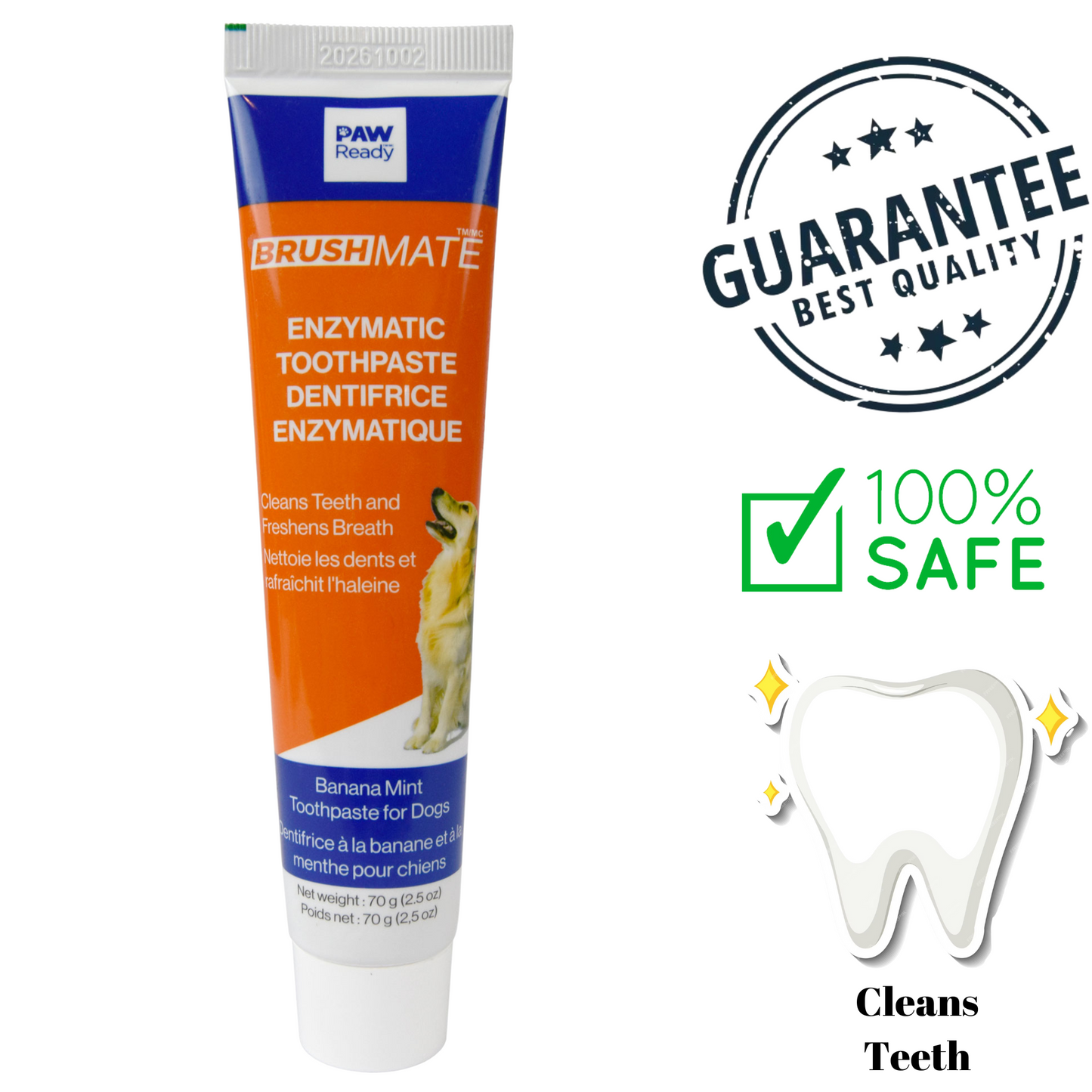Paw Ready - BrushMate Banana Mint Enzymatic Dog Toothpaste - 70 Grams