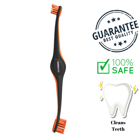 Paw Ready - BrushMate Pet Toothbrush — main