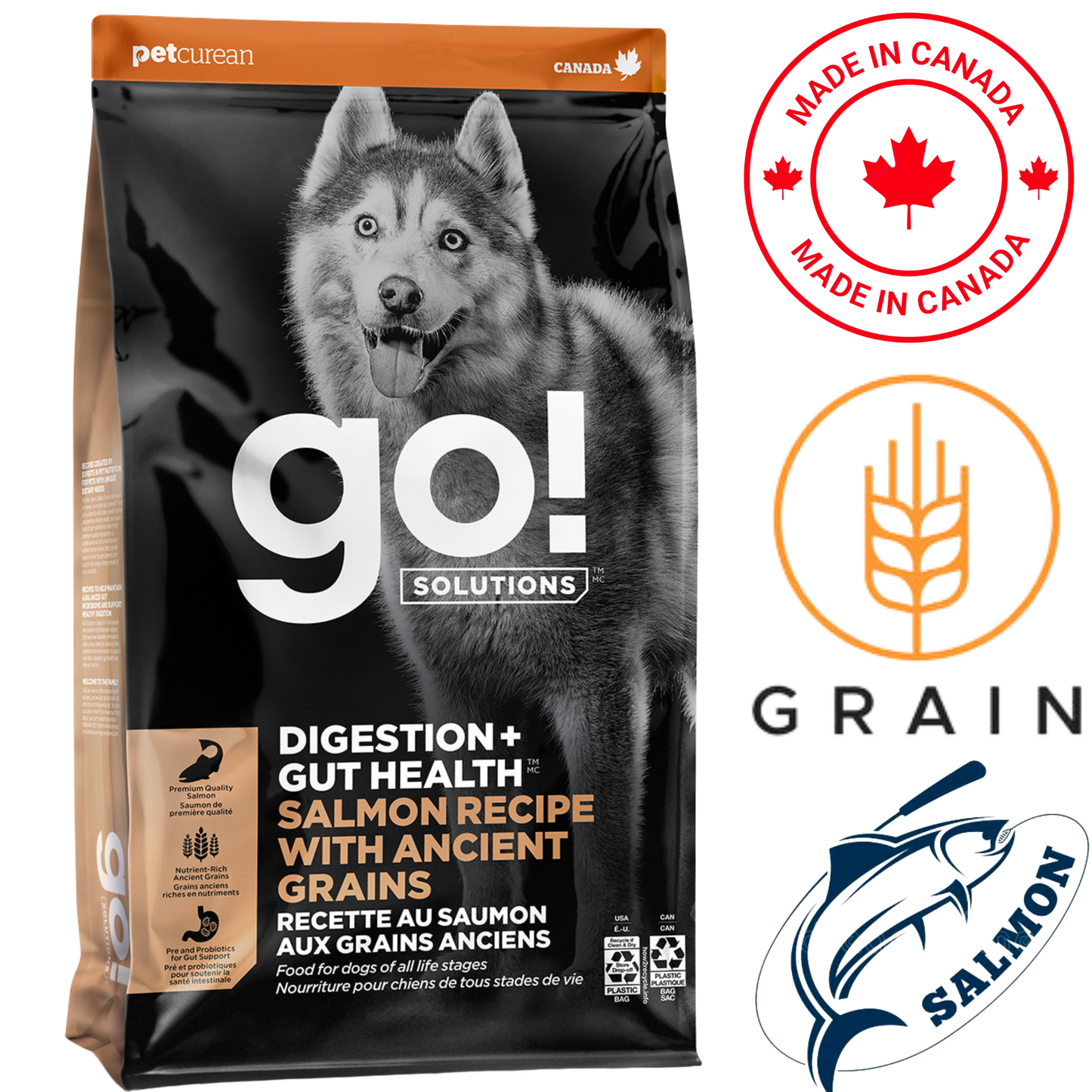 Go! Solutions - Digestion + Gut Health Salmon With Ancient Grains Dry Dog Food