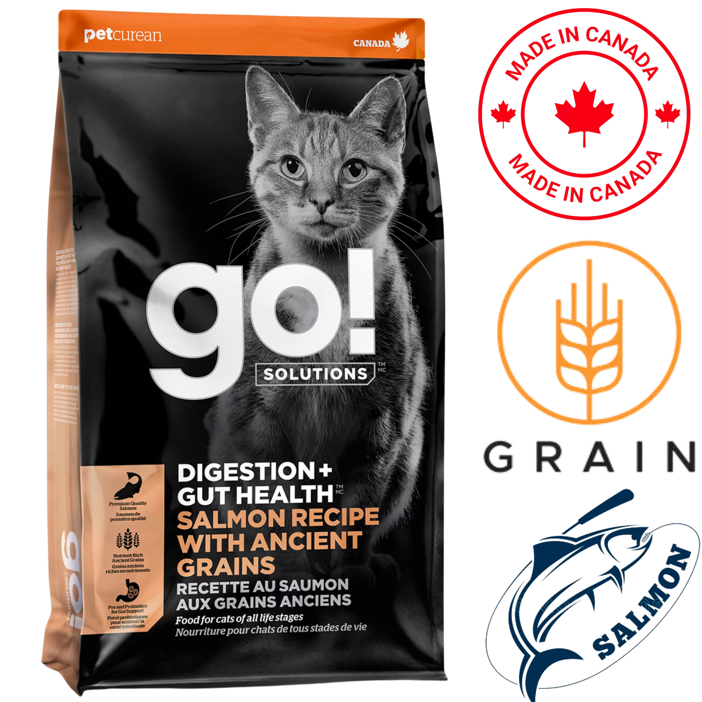 Go! Solutions - Digestion + Gut Health Salmon With Ancient Grains Dry Cat Food - 3 lb