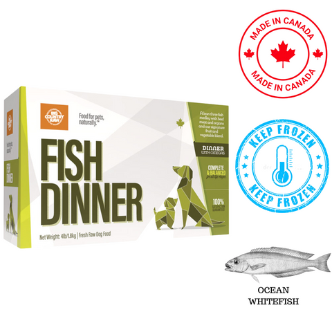 Big Country Raw - Whitefish Dinner Carton Raw Dog Food — main