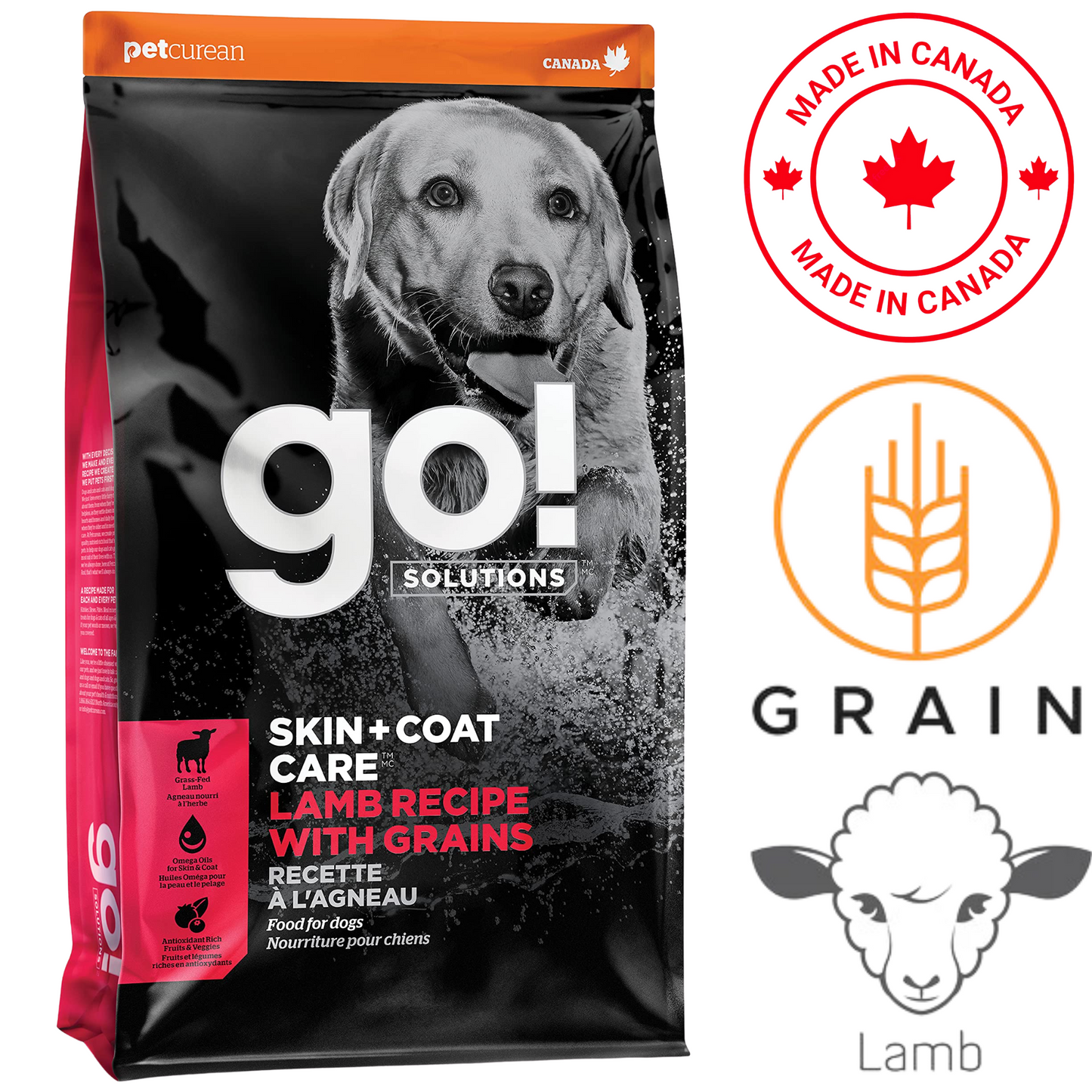 Go! Solutions - Skin + Coat Care Lamb With Grains Dry Dog Food