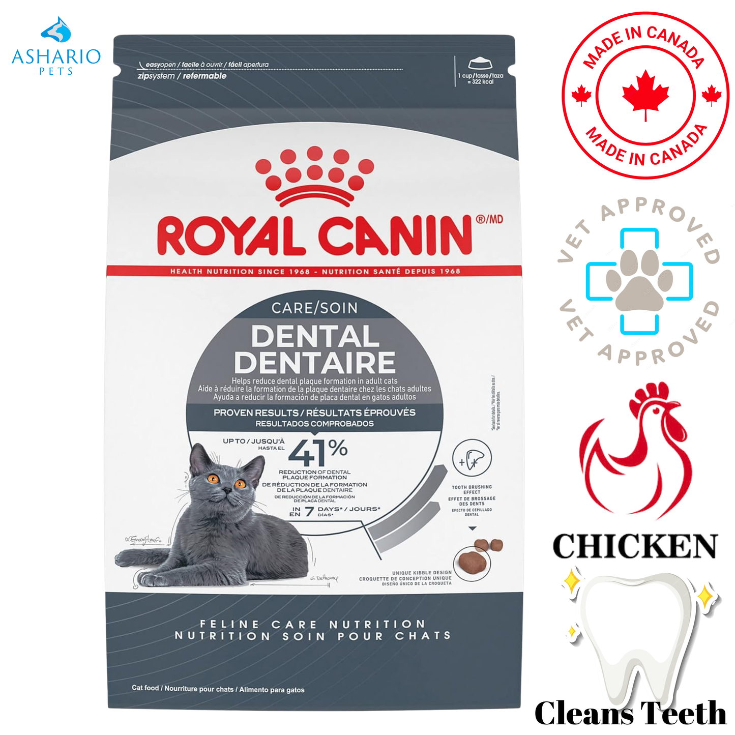 Royal Canin - Dental Care Adult Dry Cat Food