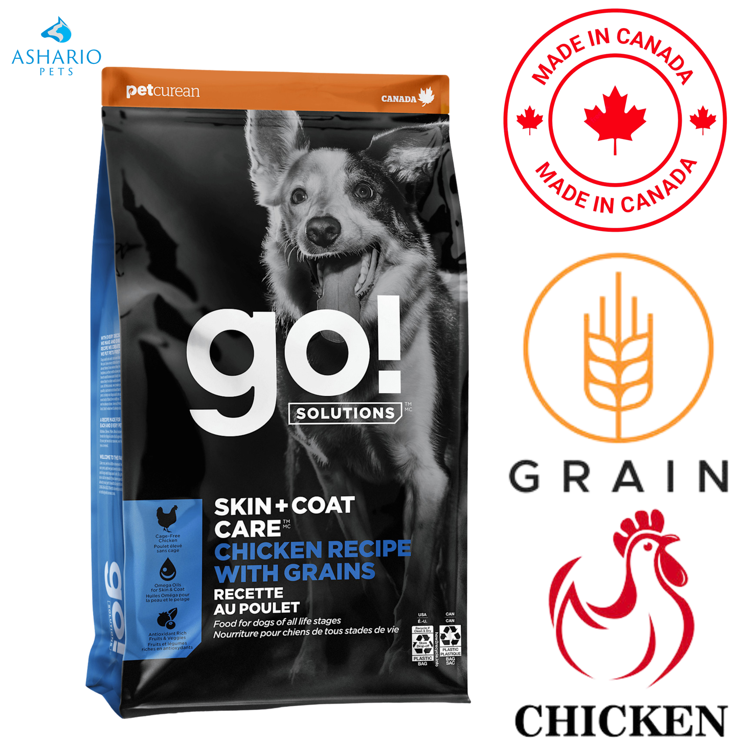 Go! Solutions - Skin + Coat Care Chicken With Grains Dry Dog Food — main