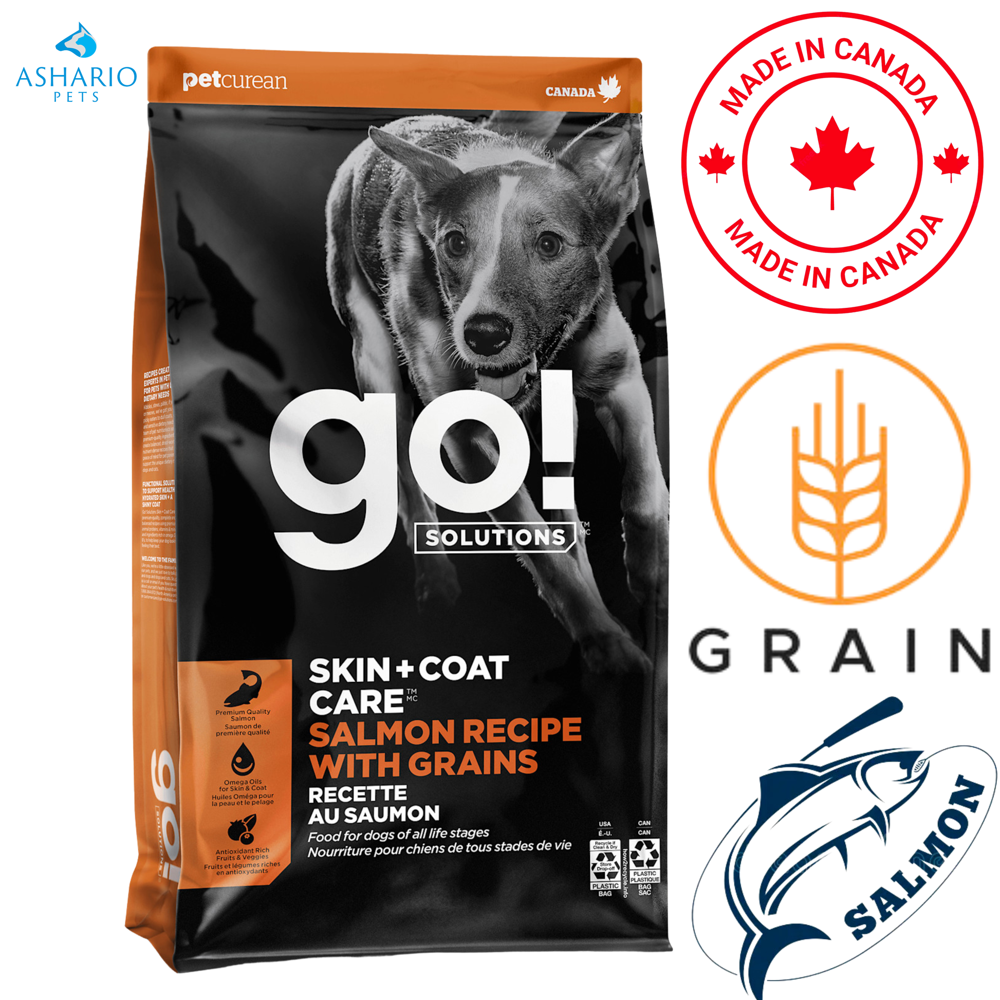Go! Solutions - Skin + Coat Care Salmon With Grains Dry Dog Food — main
