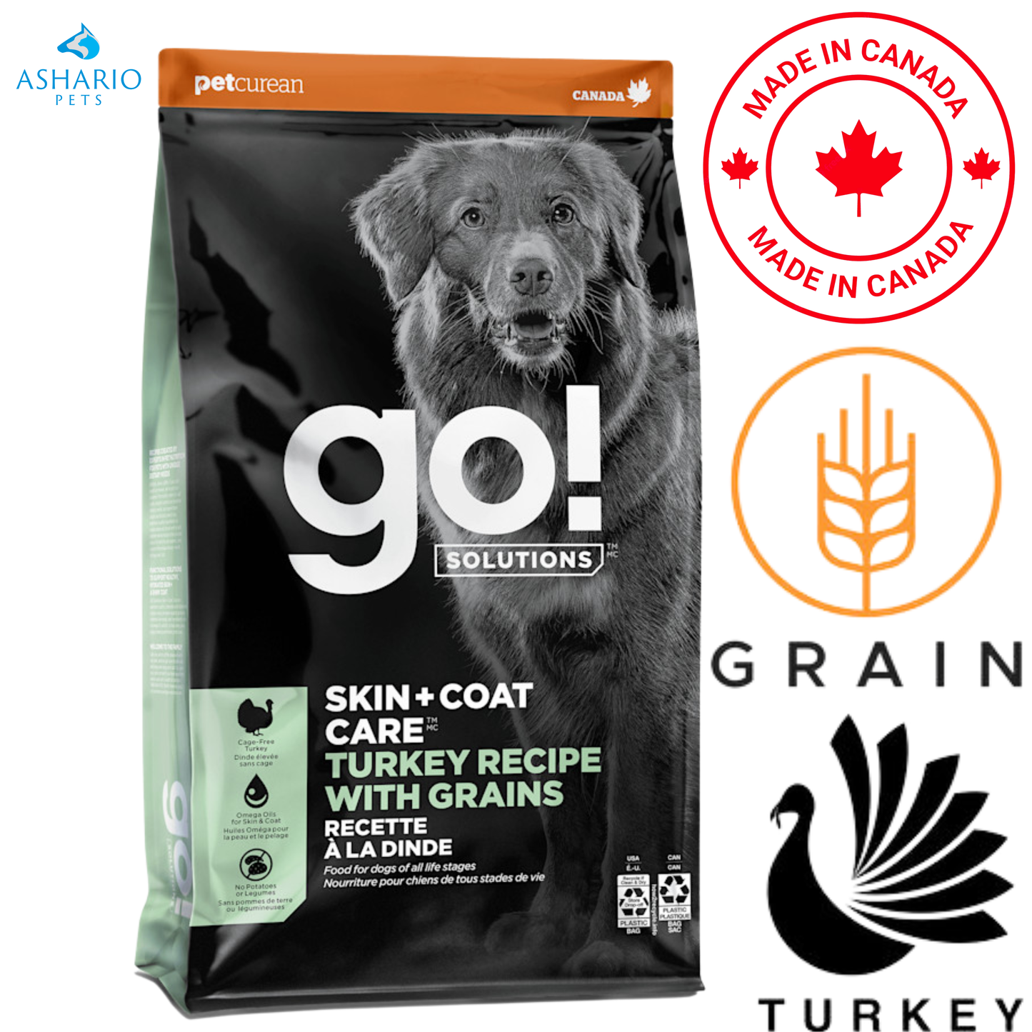 Go! Solutions - Skin + Coat Care Turkey With Grains Dry Dog Food — main