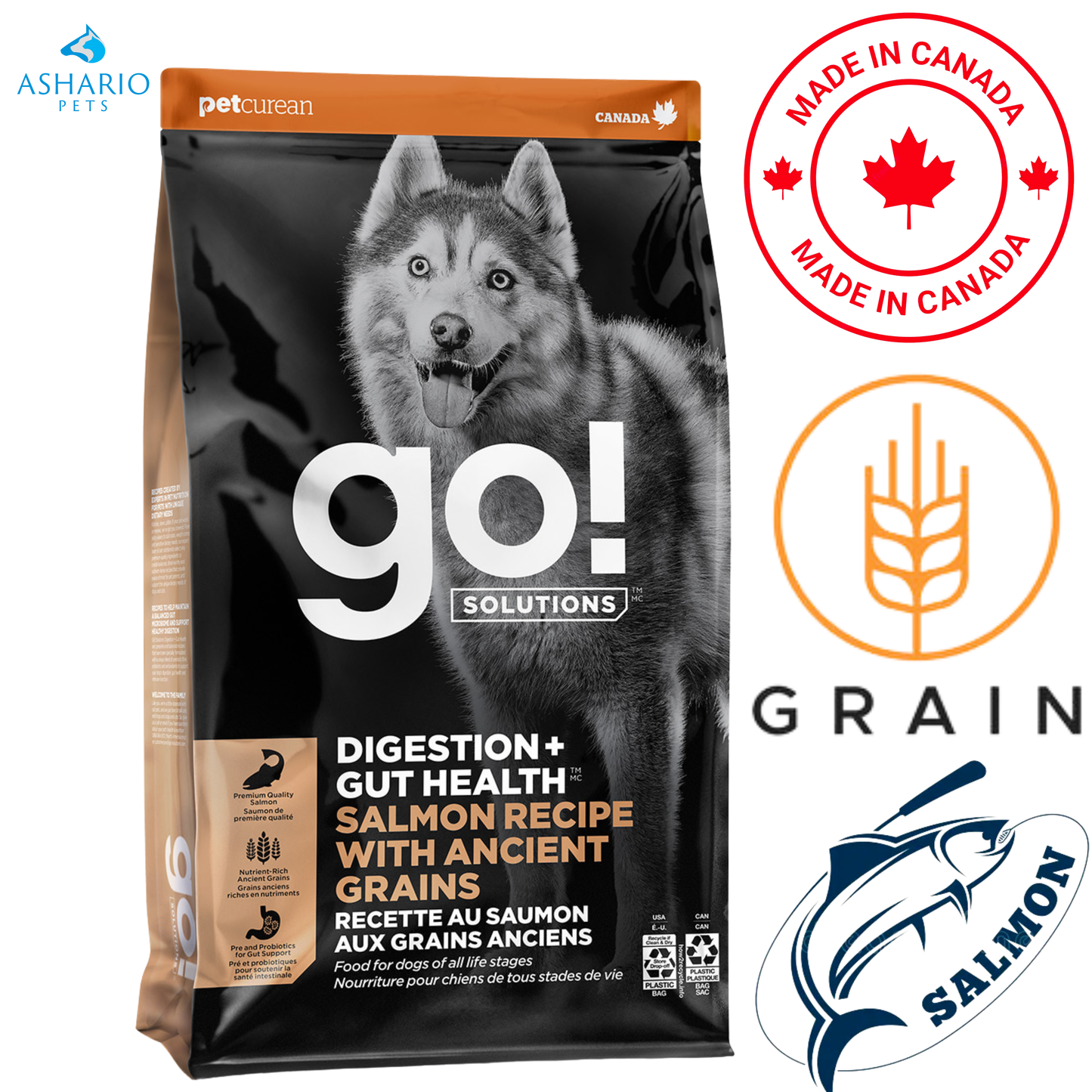Go! Solutions - Digestion + Gut Health Salmon With Ancient Grains Dry Dog Food