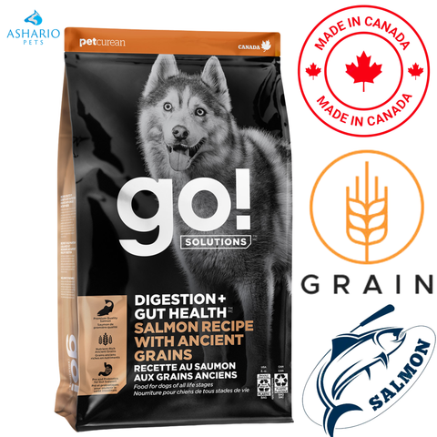 Go! Solutions - Digestion + Gut Health Salmon With Ancient Grains Dry Dog Food