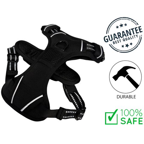 Ashario Pets - Lightweight Reflective Harness — main
