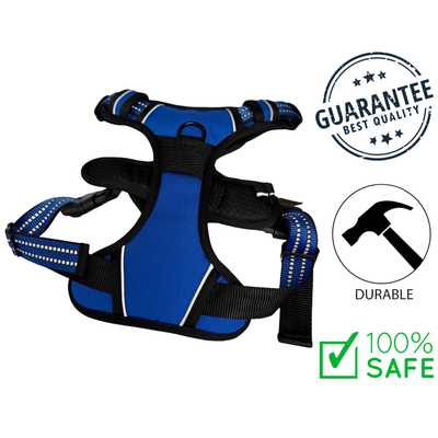 Ashario Pets - Lightweight Reflective Harness