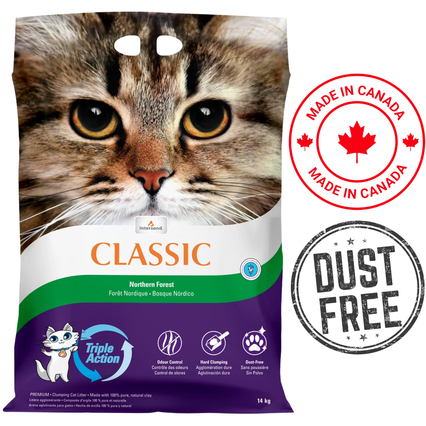 Intersand - City Classic Premium Pine Forest Clumping Cat Litter