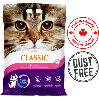 Intersand - City Classic Premium Baby Powder Clumping Cat Litter