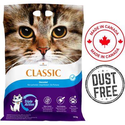 Intersand - City Classic Premium Unscented Clumping Cat Litter