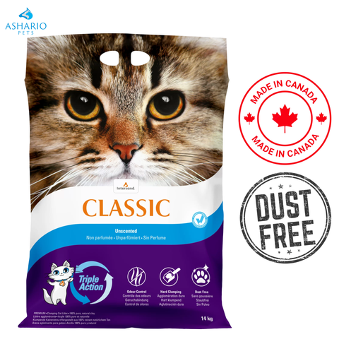 Intersand - City Classic Premium Unscented Clumping Cat Litter