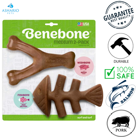 Benebone - Bacon Wishbone/Salmon Fishbone Flavoured Dog Chew Toy