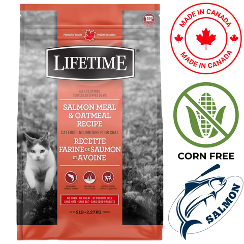 Lifetime - All Life Stages Salmon & Oatmeal Dry Cat Food