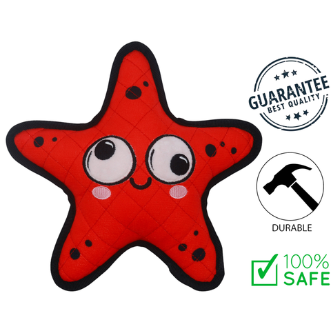 BuD'z - Dizzy Star Plush Dog Toy — main