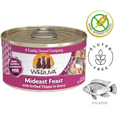 Weruva - Mideast Feast Canned Cat Food