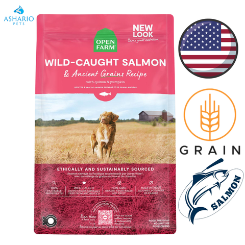 Open Farm - Croquettes pour chiens au saumon sauvage et aux céréales anciennes - 4 lb, 22 lb