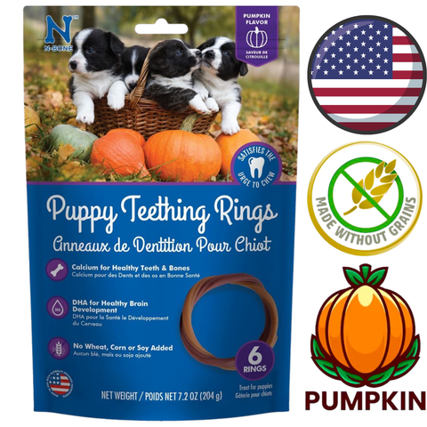 NPIC - Puppy Pumpkin Flavour Teething Rings — main