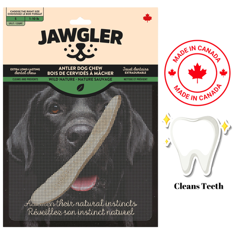 Jawgler - Antler Dog Chew — main