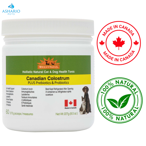 Wellytails - Bovine Colostrum Dog & Cat Supplement — main