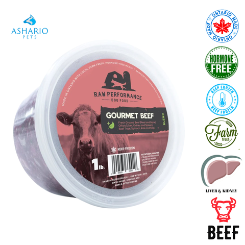 Raw Performance - Gourmet Beef Raw Dog Food