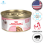 Royal Canin - Feline Health Nutrition Thin Slices In Gravy Kitten Canned Cat Food — main
