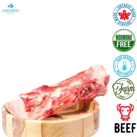Raw Performance - Large Bone Marrow