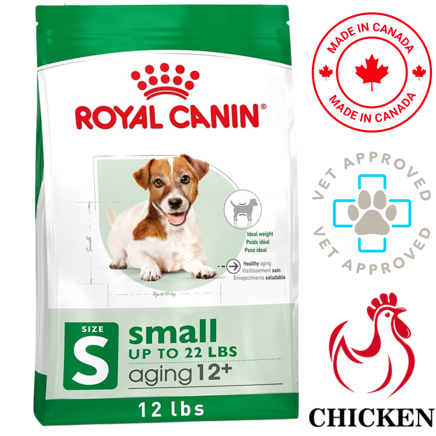 Royal Canin - Size Health Nutrition Small Breed Aging 12+ Years Dry Dog Food — main