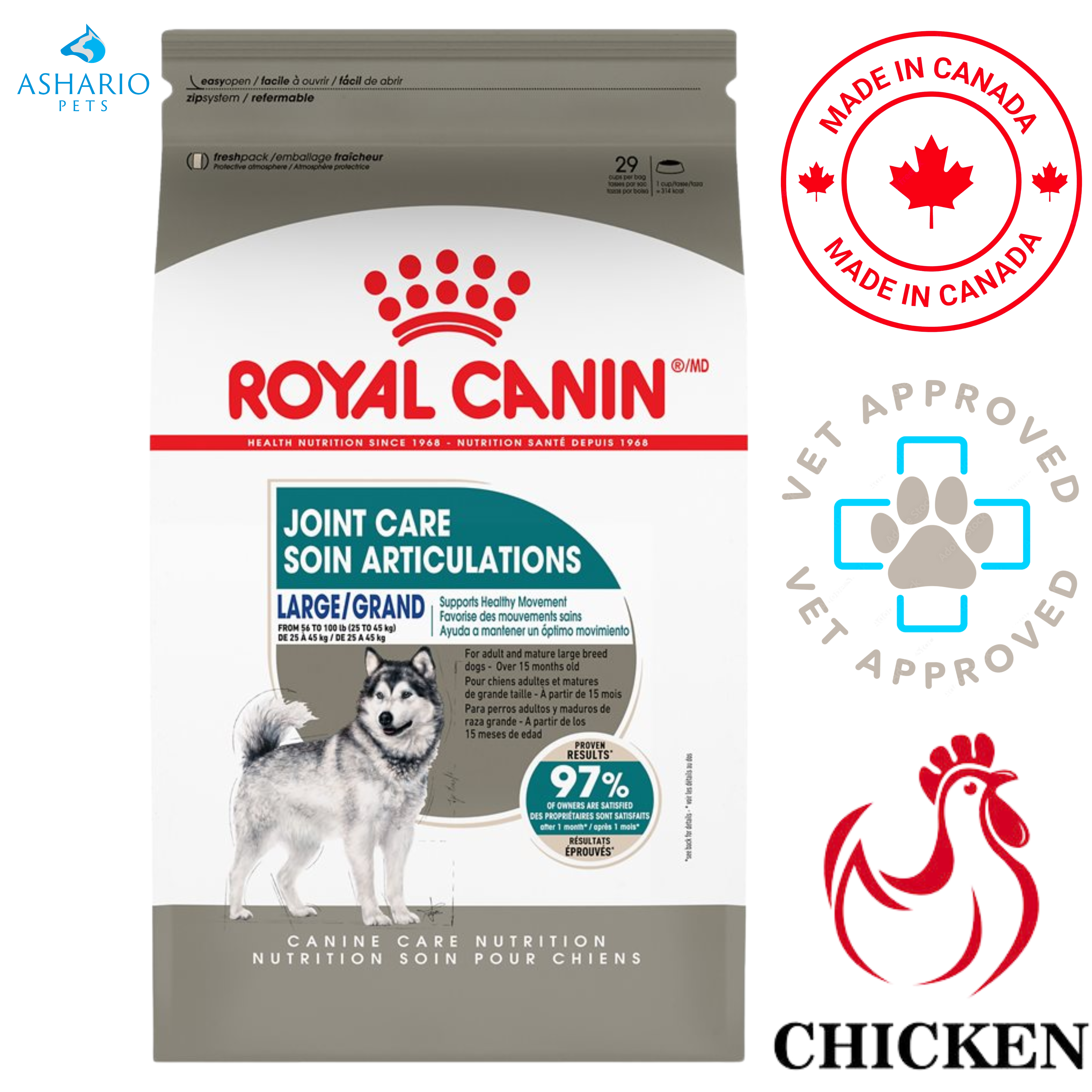 Royal Canin - Joint & Coat Care Large Breed Adult Dry Dog Food — main