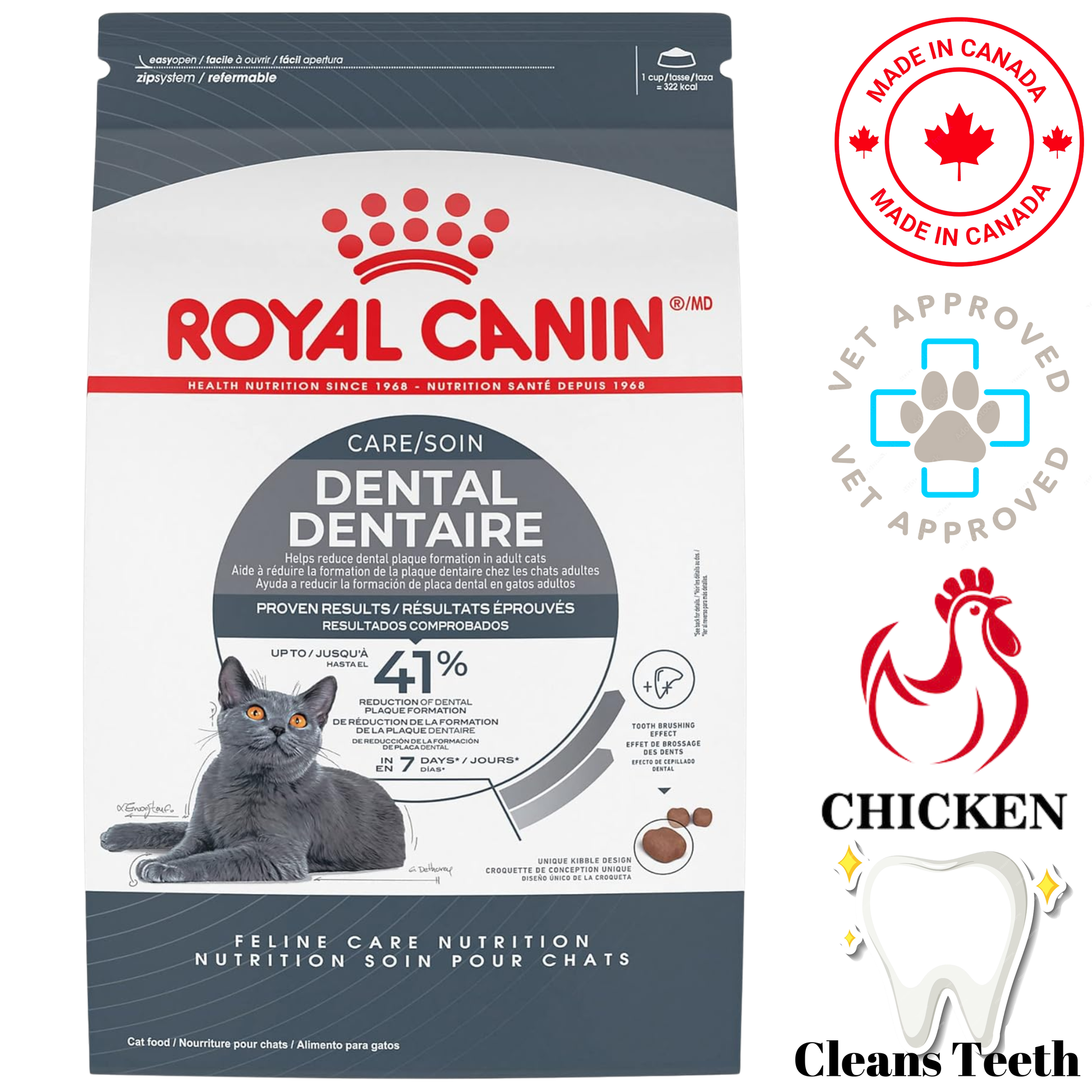 Royal Canin - Dental Care Adult Dry Cat Food — main