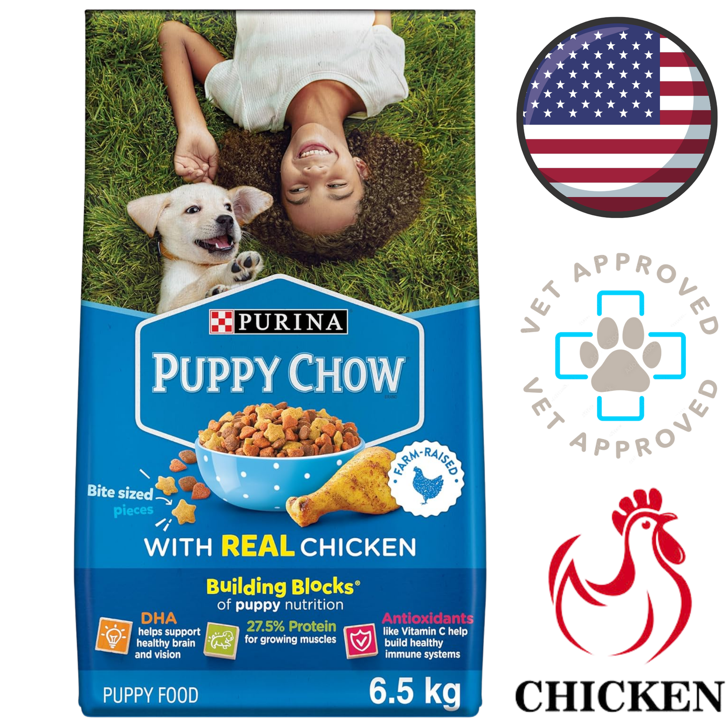 Purina - Puppy Chow Complete Chicken Dry Dog Food