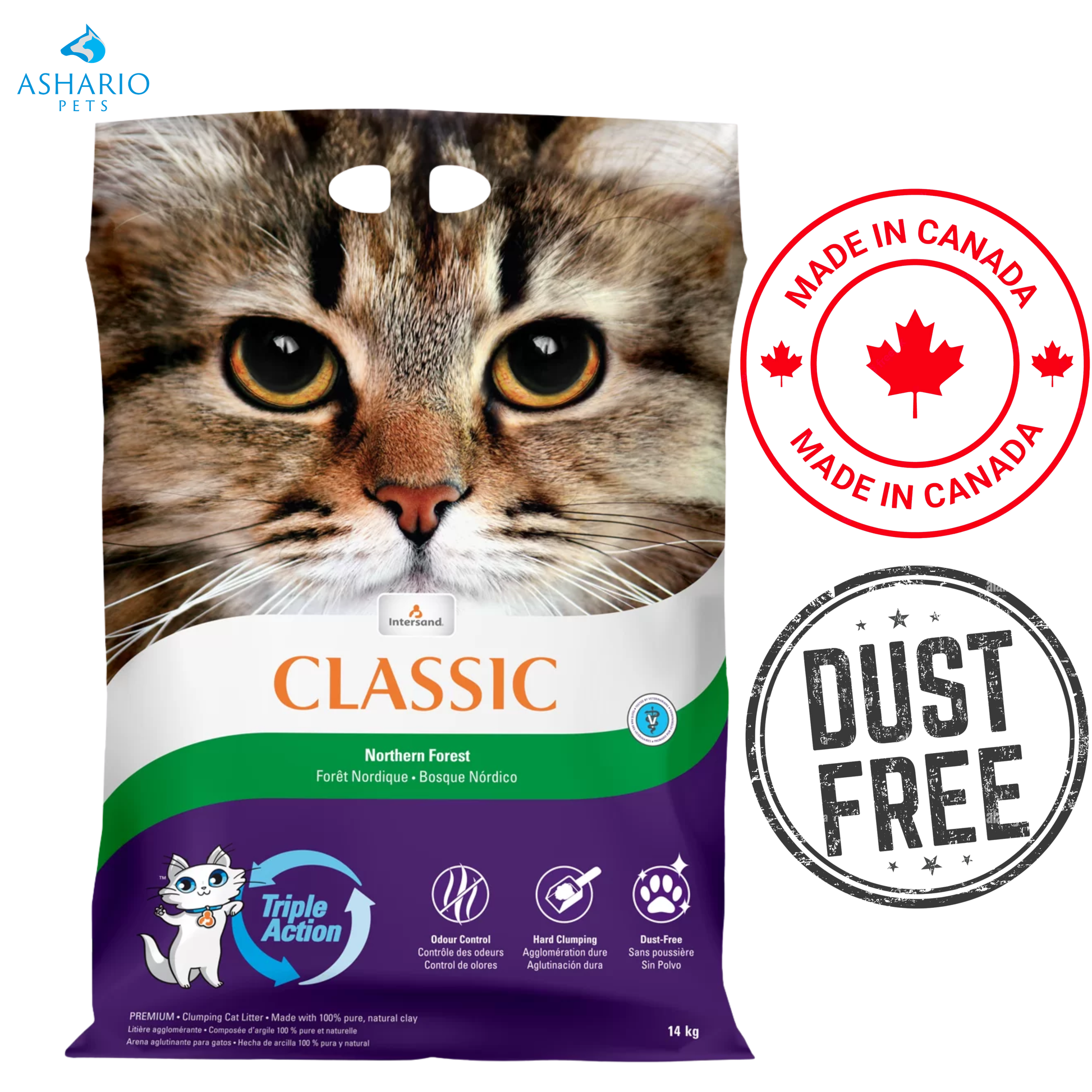 Intersand - City Classic Premium Pine Forest Clumping Cat Litter