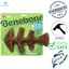 Benebone - Salmon Fishbone Flavoured Dog Chew Toy