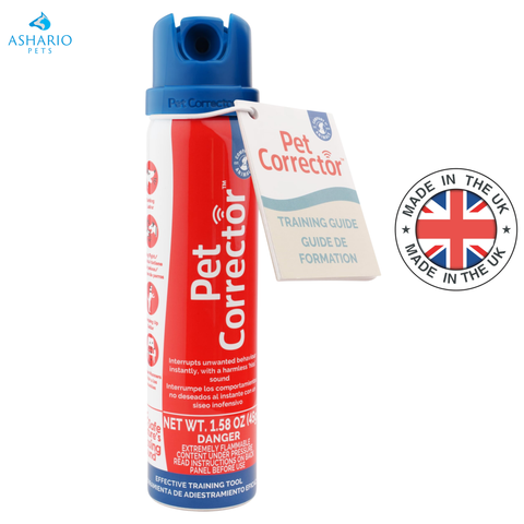 Company Of Animals - Pet Corrector
