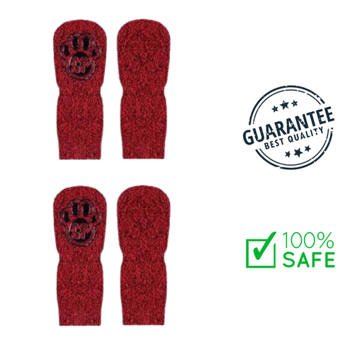 Canada Pooch - The Basic Sock - Red — main