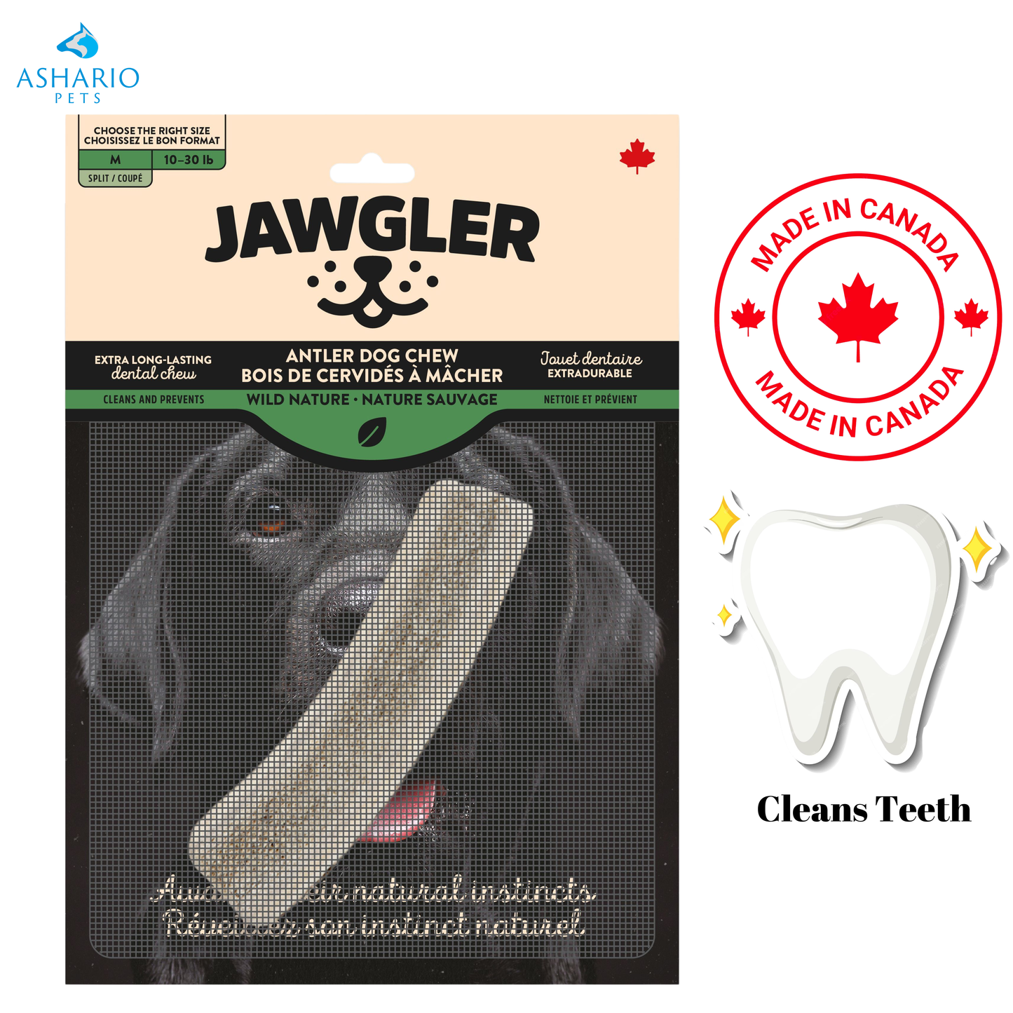 Zaytoon - Jouet à mâcher en bois d'olivier pour chien - XL