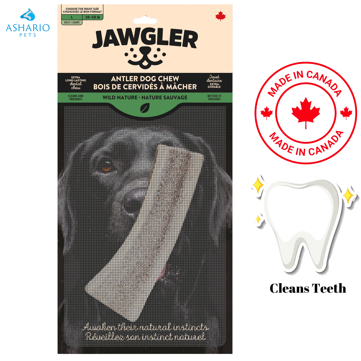 Zaytoon - Jouet à mâcher en bois d'olivier pour chien - XL